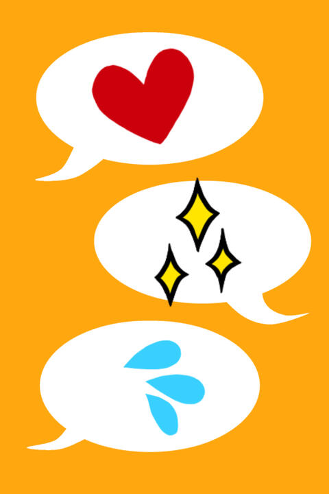 Comment Section